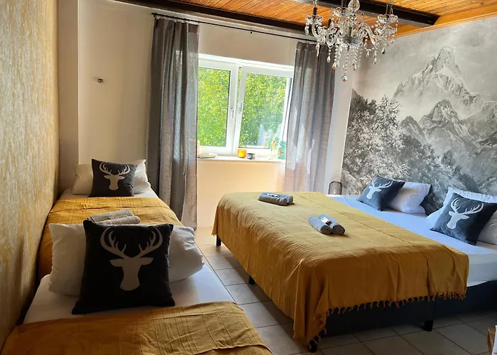 Apartamento Bavaria Mountain Terrasse Arber Osser Bayrischer Wald Designer Nationalpark Bayrischer Wald Inkl Osser Pool Lohberg